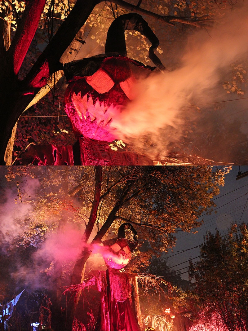 pumpkin-head-scarecrow-by-rania-peet